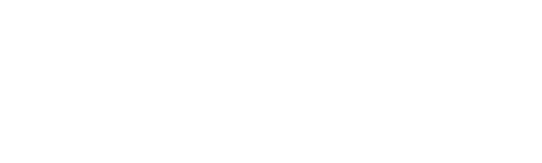 Insanity Records